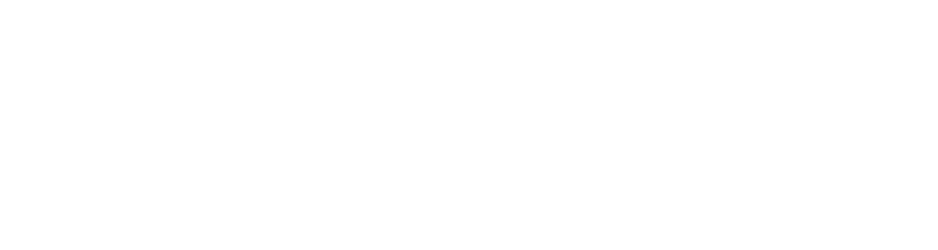PS Auction