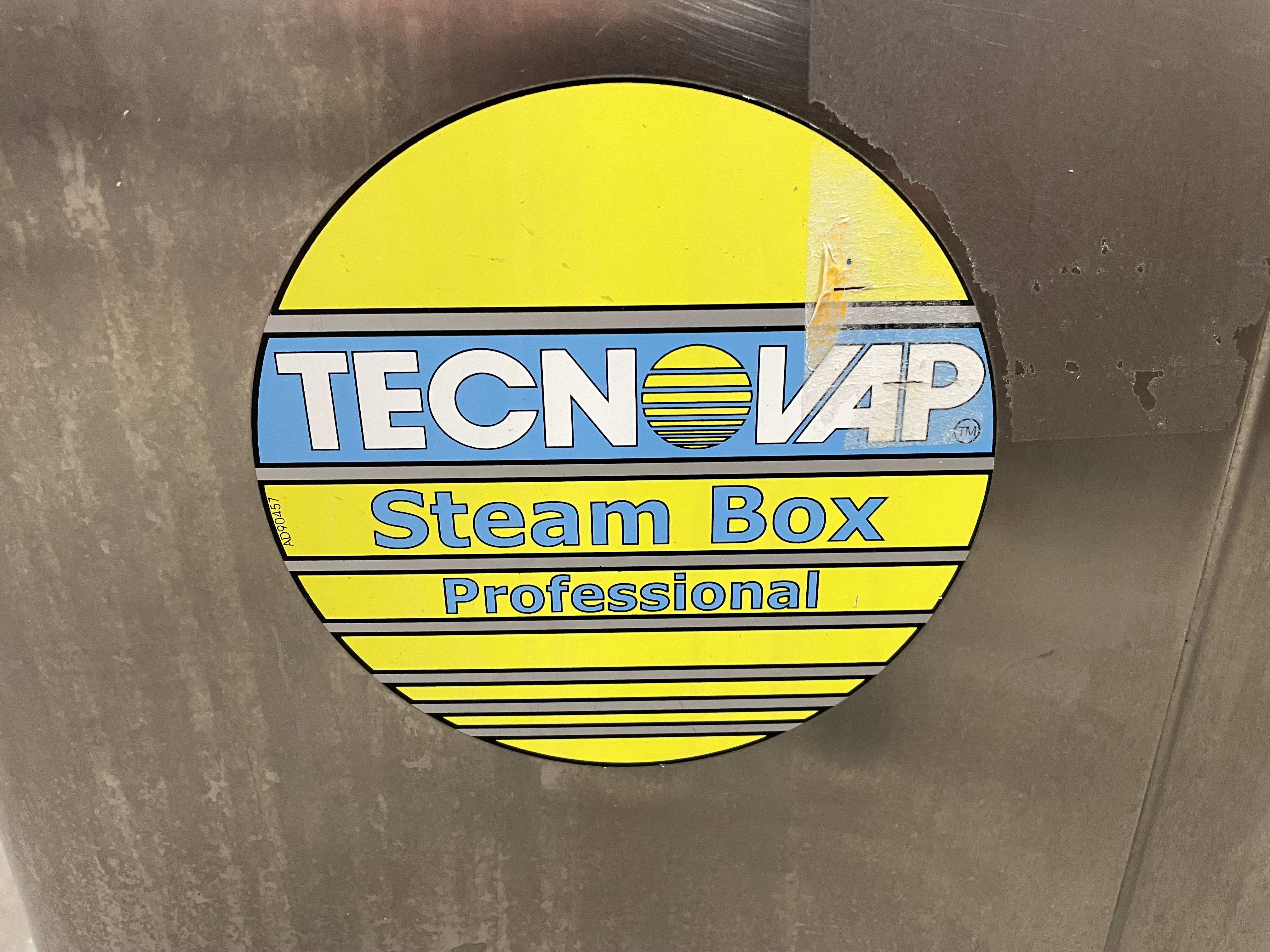 Steam cleaner Tecnovap steam box professional 4W0075 - PS Auction - We  value the future