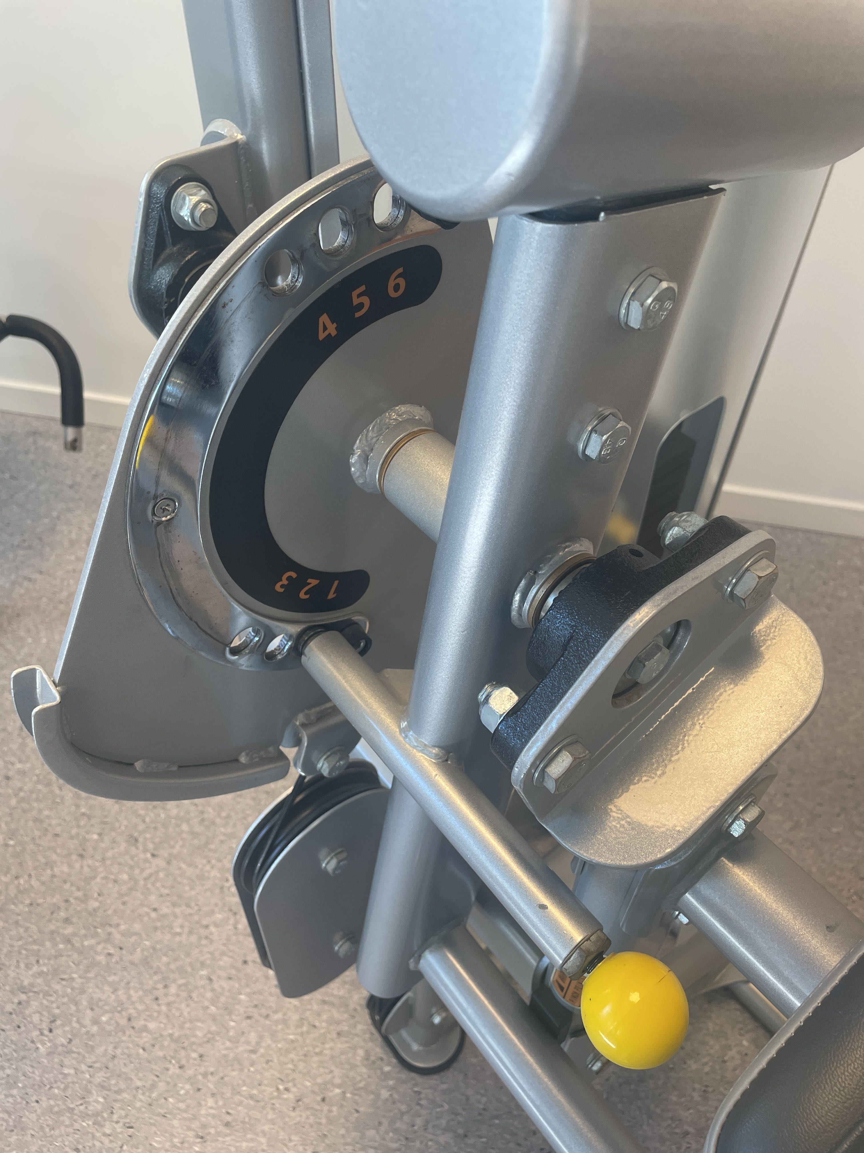 Gym equipment, Plamax Biceps Triceps curl PS Auction We value the