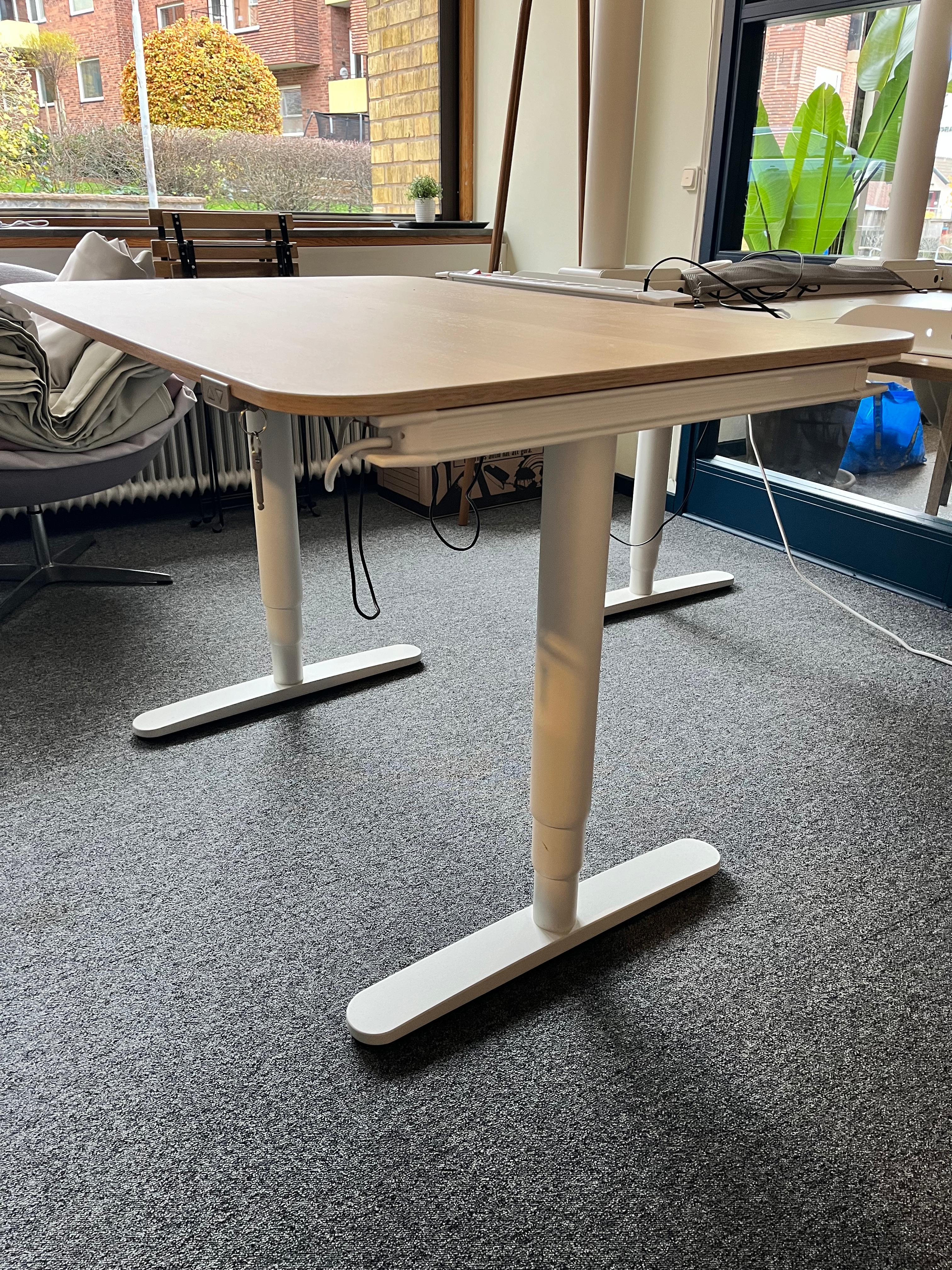 BEKANT Desk sit/stand, white with oak colored top 120x80 cm: - PS