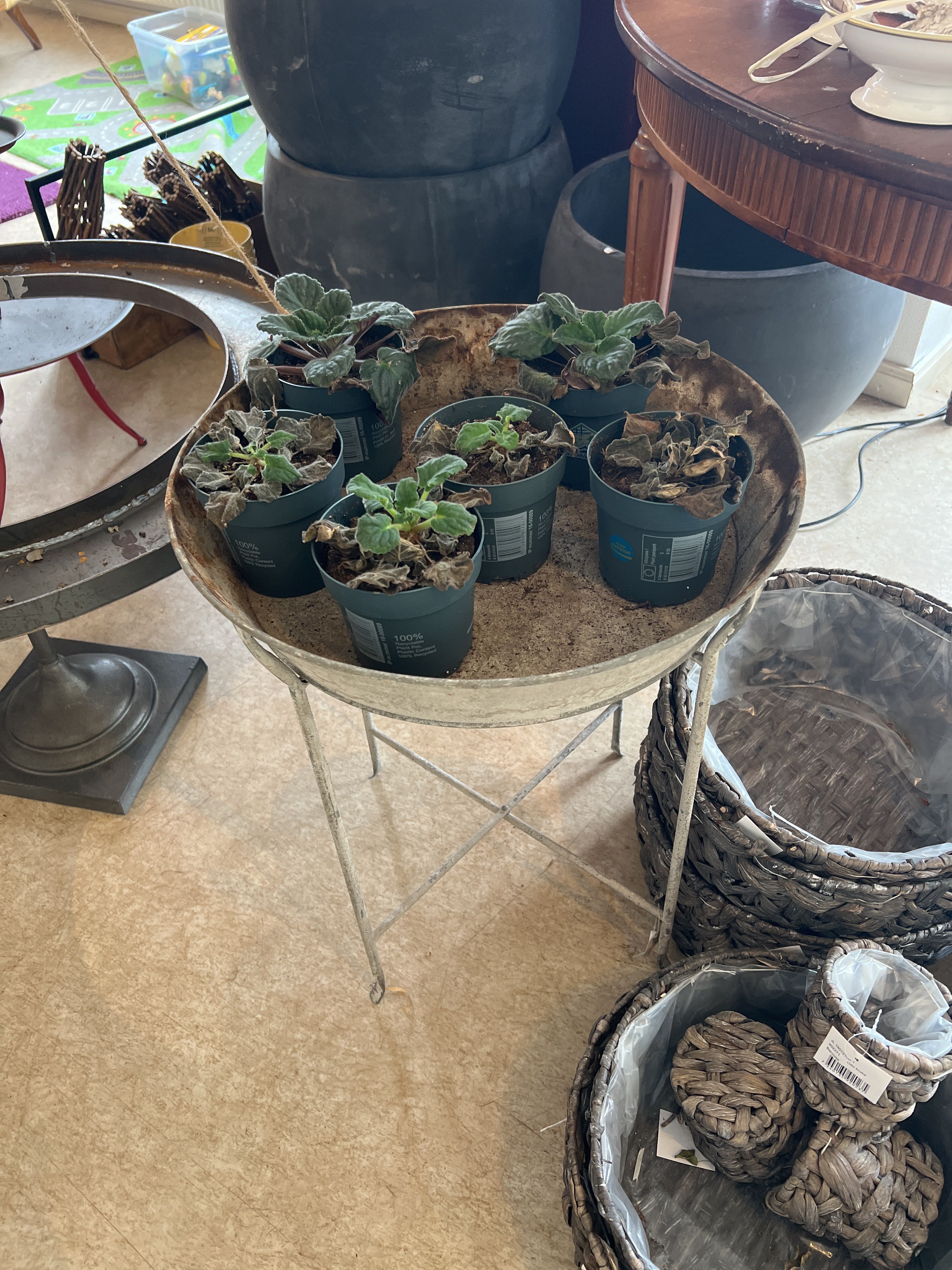 Interior details - PS Auction - We value the future - Largest in net ...