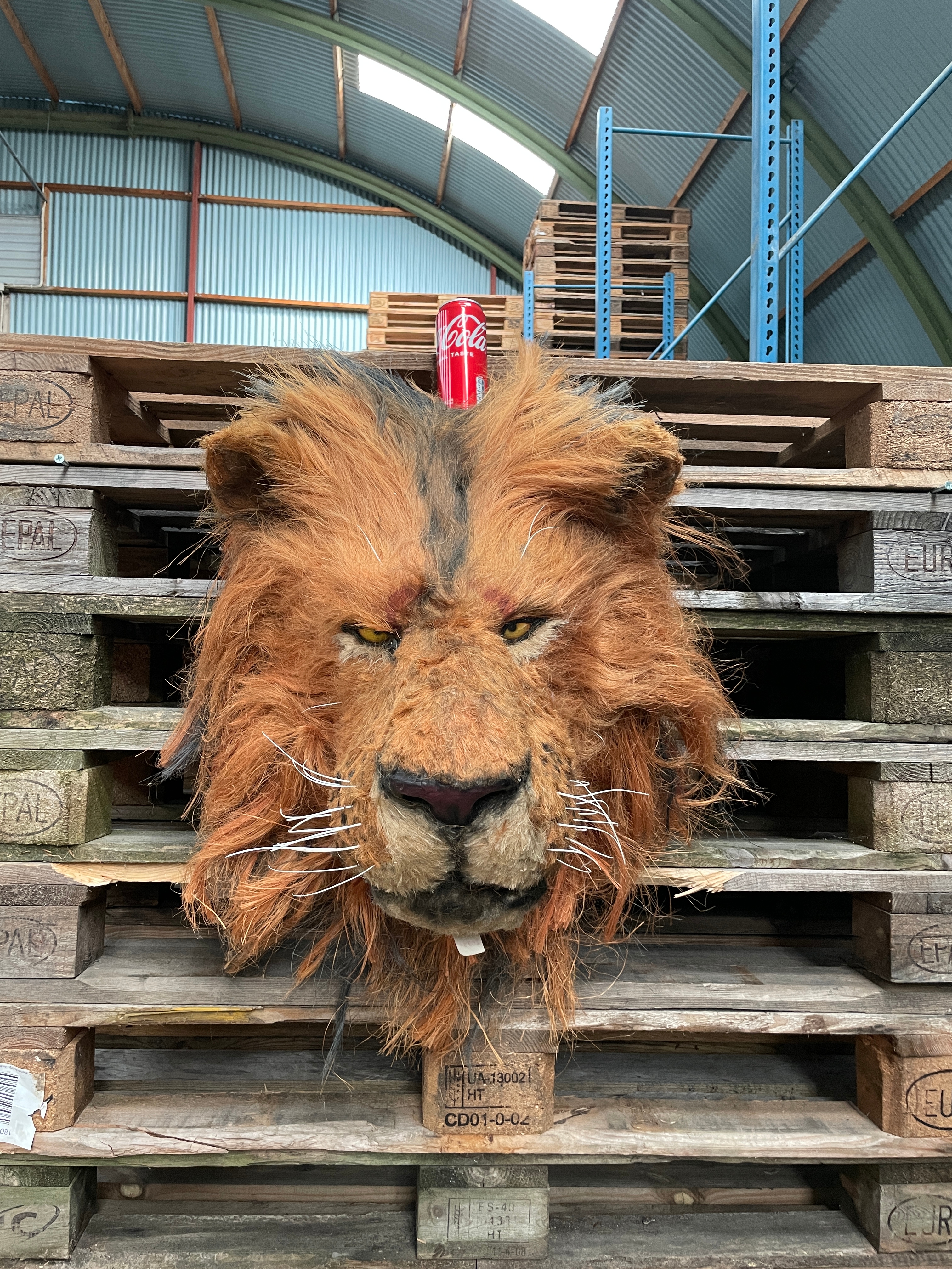 Artificial Lion Head - PS Auction - We value the future - Largest