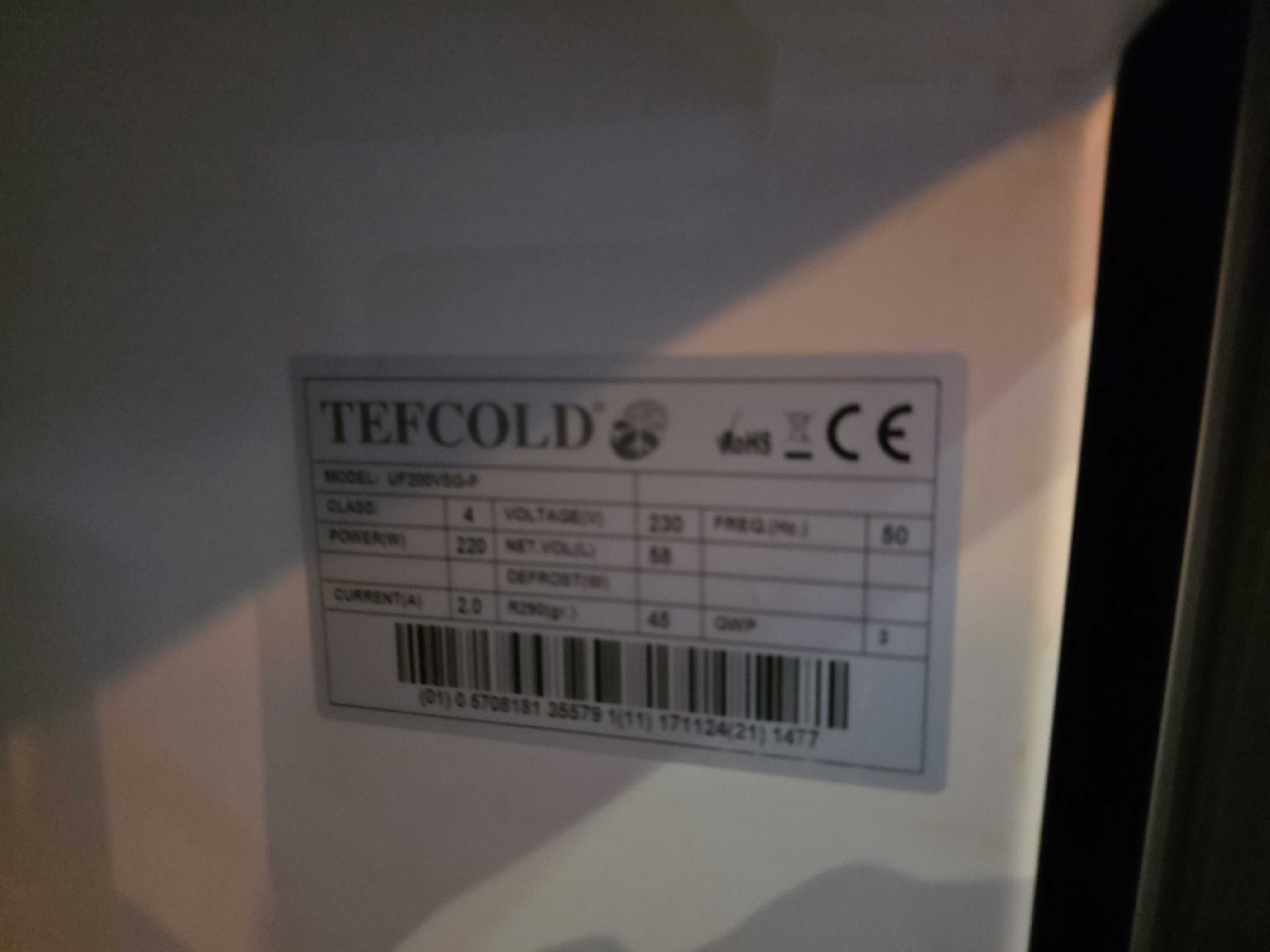 Freezer Tefcold UF200VSG-P - PS Auction - We value the future