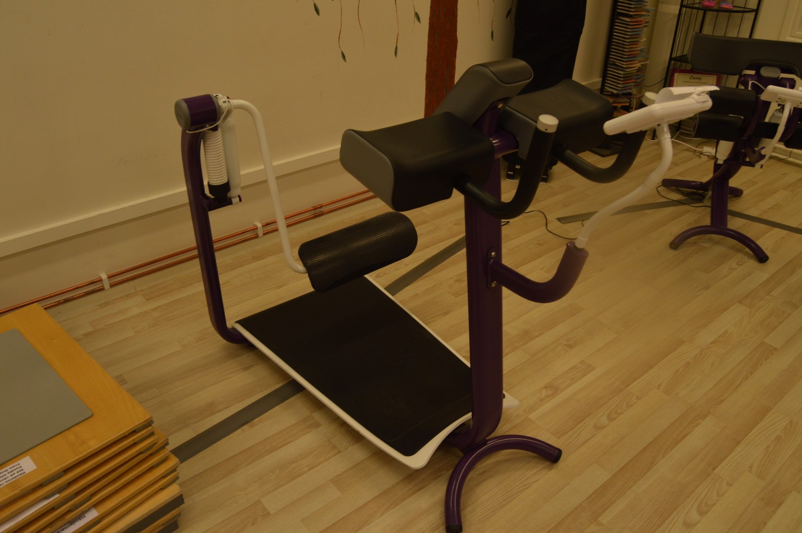 Exercise machine Glute PS Auction We value the future Largest in