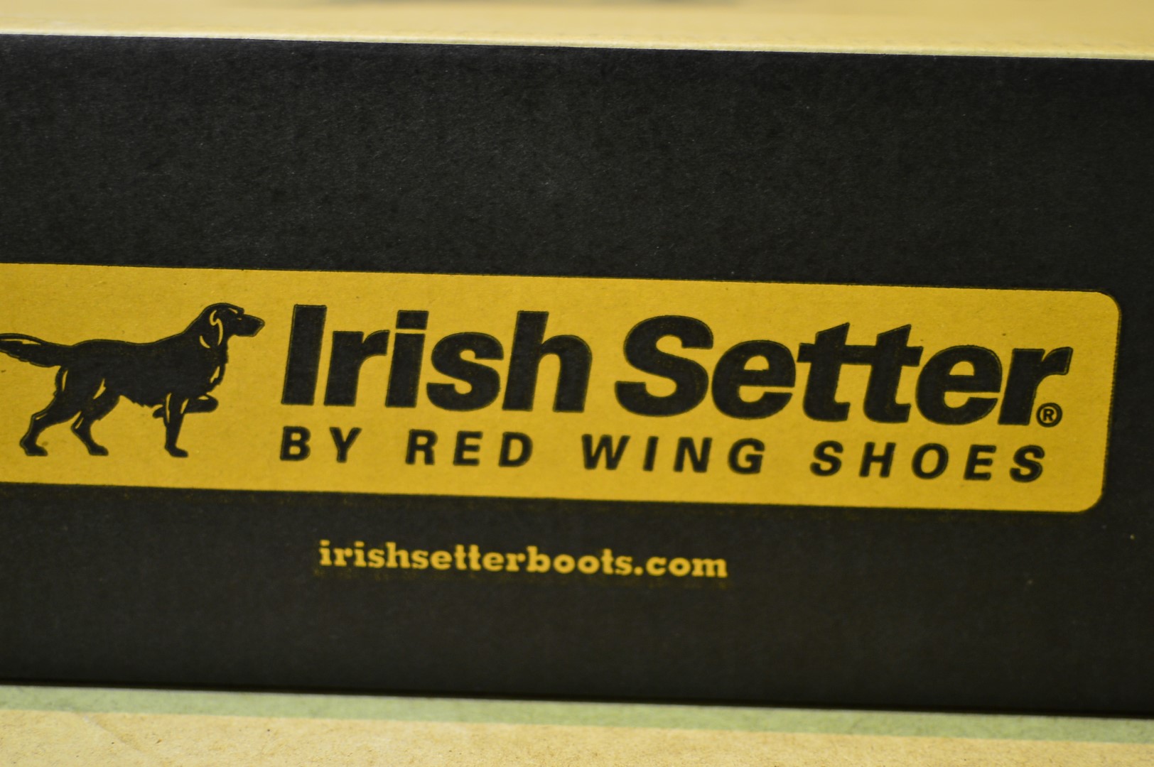 irish setter 3858