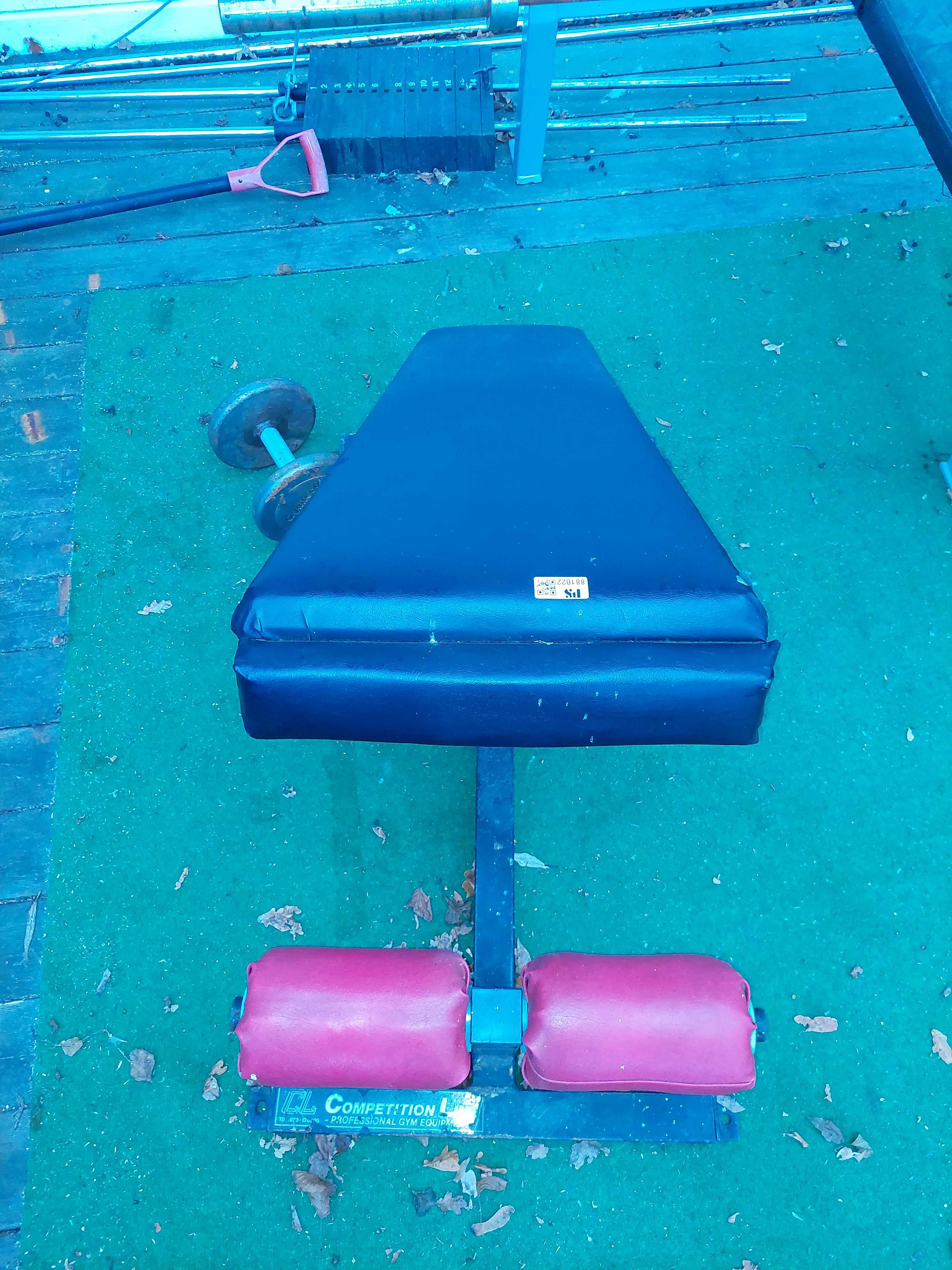 Gym bench PS Auction We value the future Largest