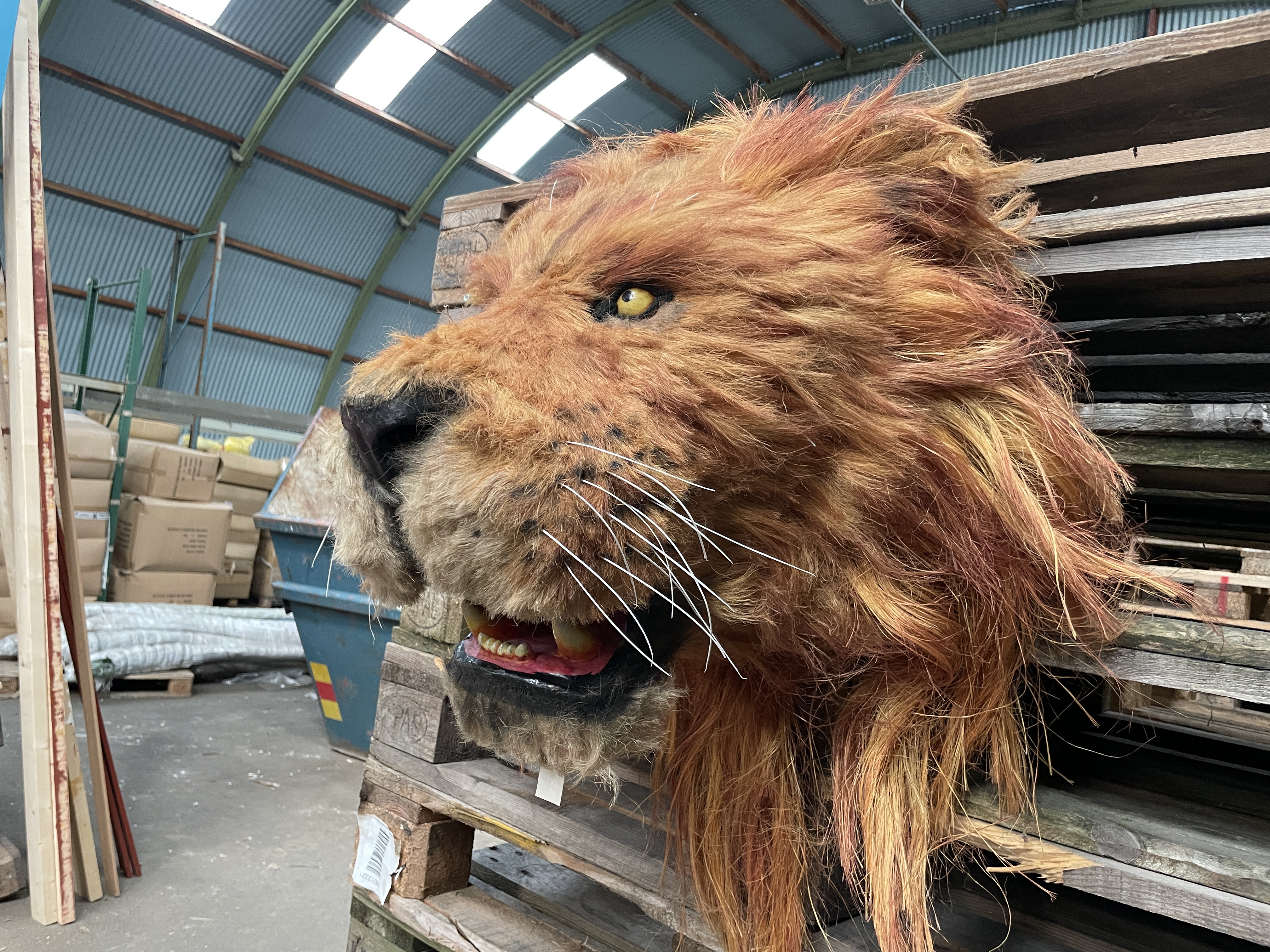 Artificial Lion Head - PS Auction - We value the future - Largest