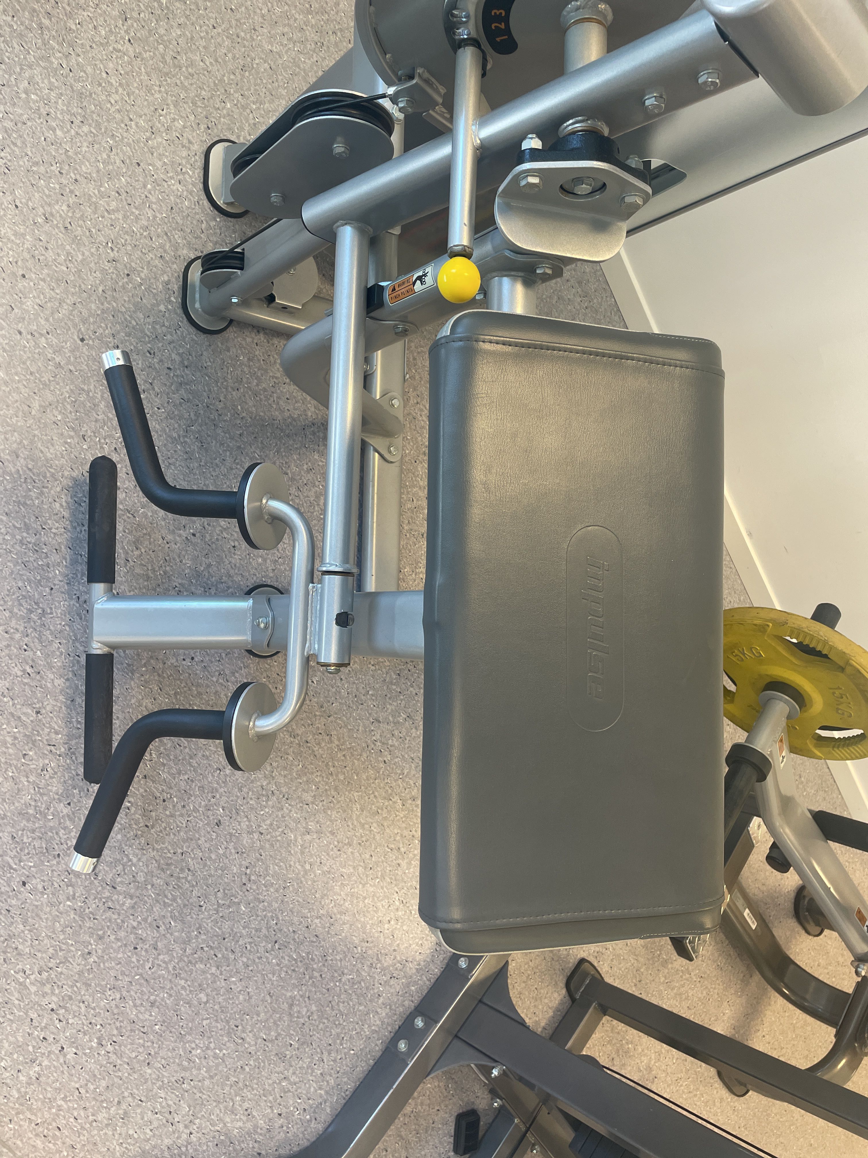 Gym equipment, Plamax Biceps Triceps curl PS Auction We value the