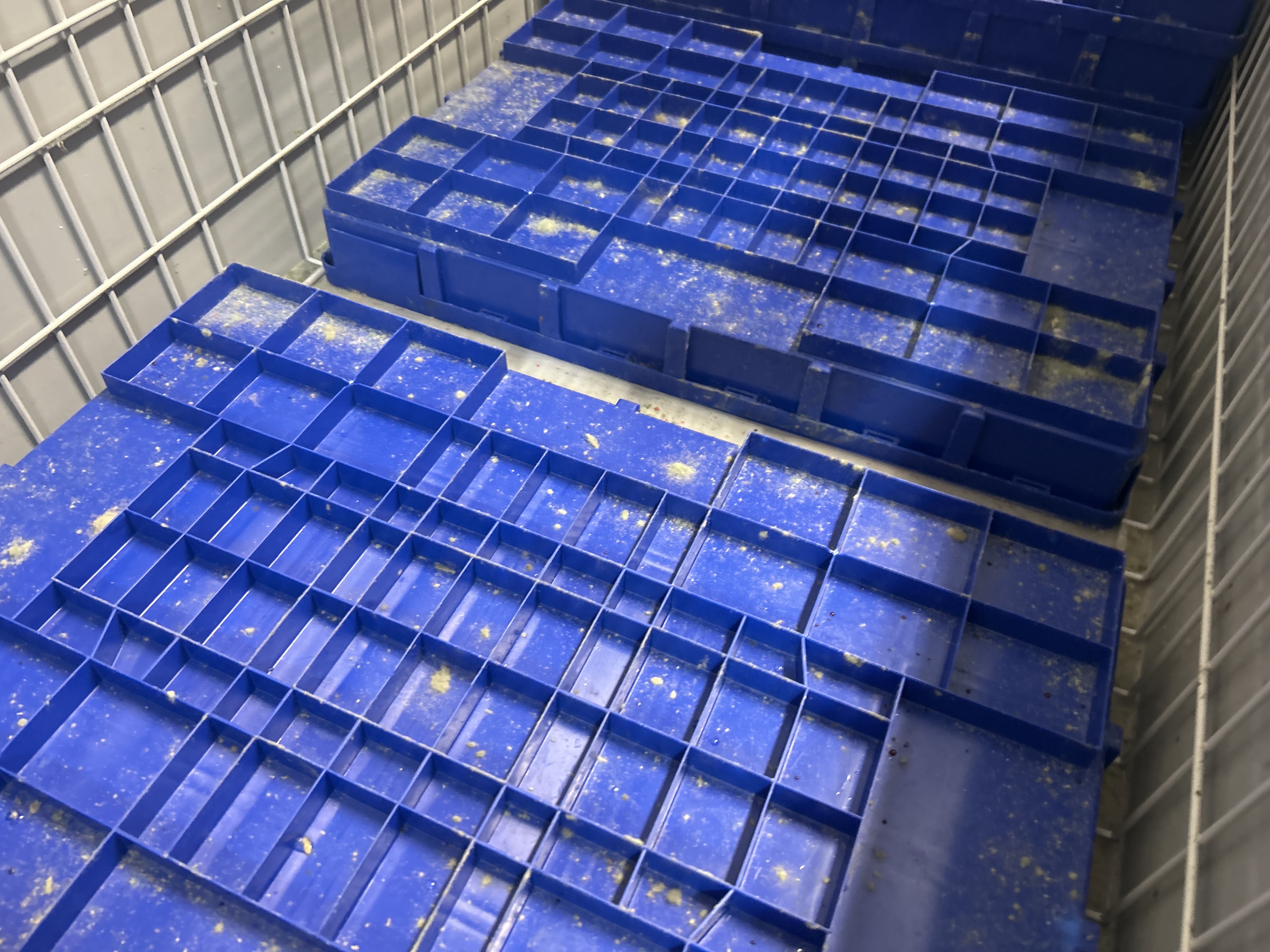 Freezer boxes 2 pcs - AHT MIAMI 250(U)L VSAD - PS Auction - We