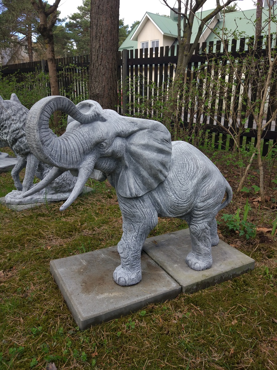 Elephant - PS Auction - We value the future - Largest in net