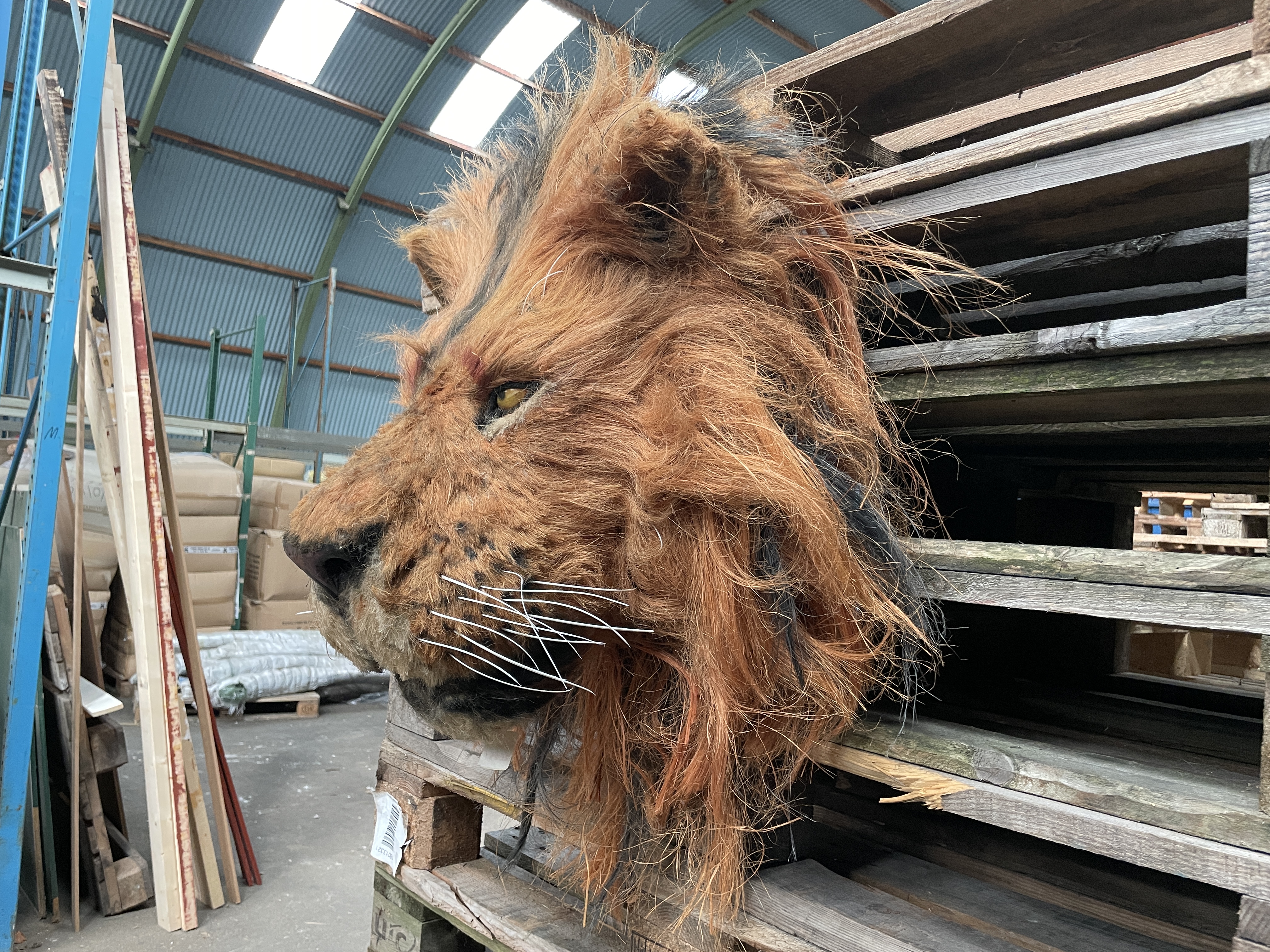 Artificial Lion Head - PS Auction - We value the future - Largest