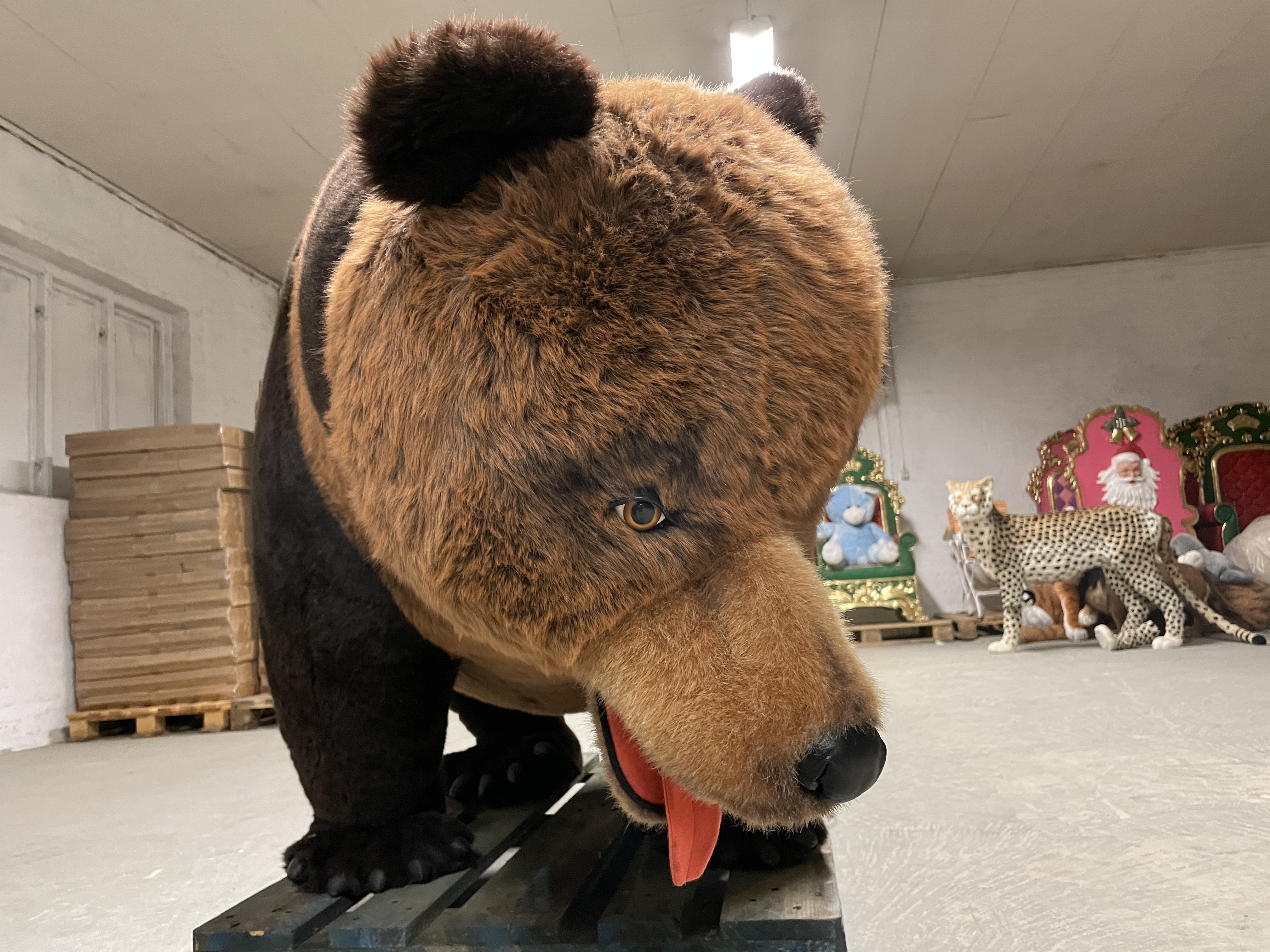 2m long bear - PS Auction - We value the future - Largest in net auctions