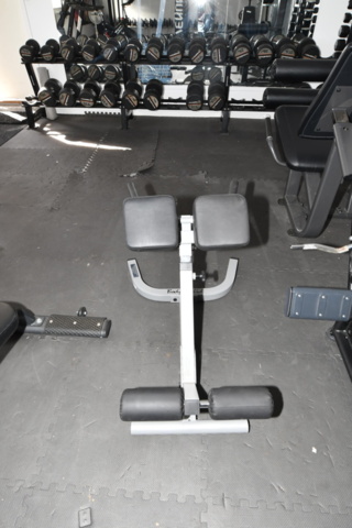 1519150-1 Rygglyftsbänk - Body Solid