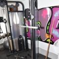 1519159-2 Dual Adjustable Pulley - Exercise Fitness