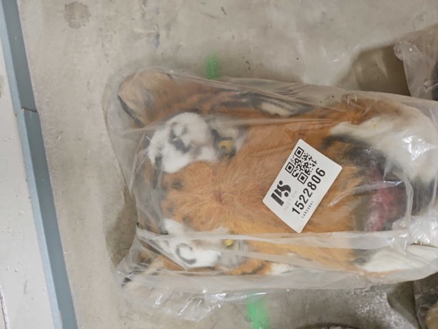 1522806-4 Konstgjort tigerhuvud - väggdekoration, 40 cm