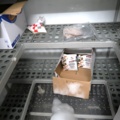 1070355-5 Freezer room