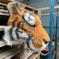 1522817-3 Artificial tiger head - wall decoration, 40 cm