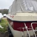 1143481-7 Flipper 700 Boat -79 incl trailer Volvo Penta