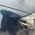 1504172-57 Mercedes-Benz E 200 T d 9G-Tronic, 150hp, 2018