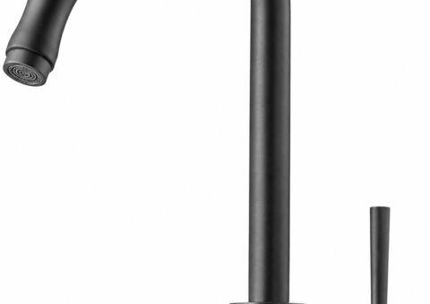 Kitchen mixer, Tapwell, Graphite, pull-out spout, EVO185