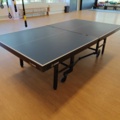 1484168-1 Pingisbord Gewo-Matic SC 25W