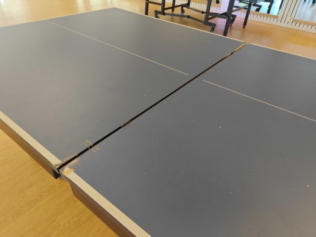 1484168-3 Pingisbord Gewo-Matic SC 25W