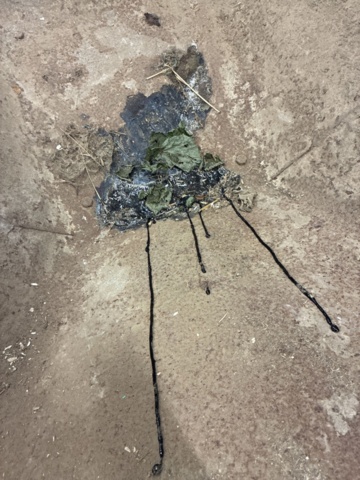 1530255-12 Äldre skottkärra