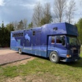 1176690-1 Stor hästtransport med pentry och sovavdelning