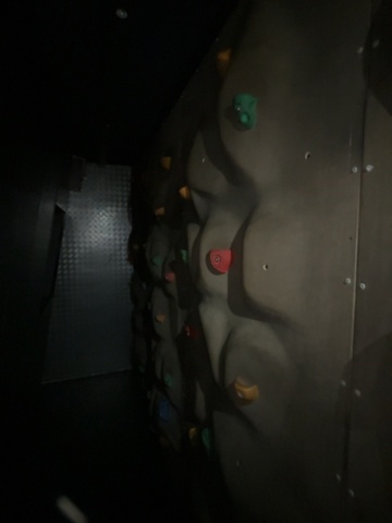 1499774-3 Climbing wall panels