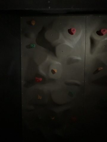 1499774-4 Climbing wall panels