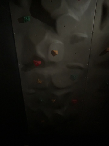 1499774-5 Climbing wall panels