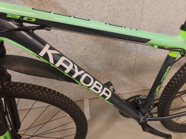 1485181-2 Mountainbike - Kayoba Walder