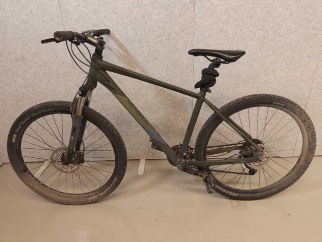 1485182-1 Mountainbike - Serious Shoreline