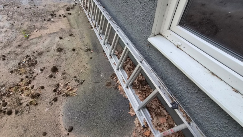 1531780-2 Longer ladder