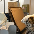 1525386-25 Parti med möbler, inredning och textilier från inredningsfirma