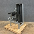 1532424-1 Biceps machine, Elite Fitness