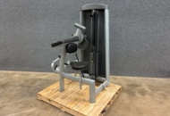 1532424 Bicepsmaskin, Elite Fitness