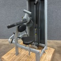 1532424-2 Biceps machine, Elite Fitness