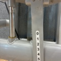 1532424-5 Biceps machine, Elite Fitness