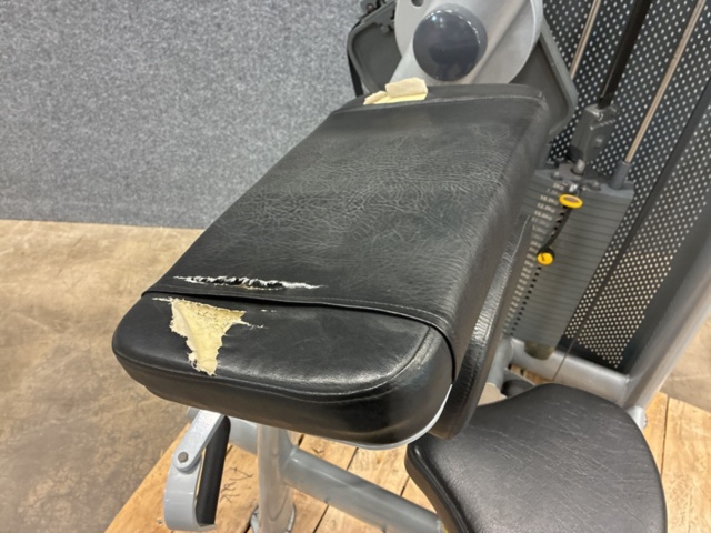 1532424-6 Biceps machine, Elite Fitness