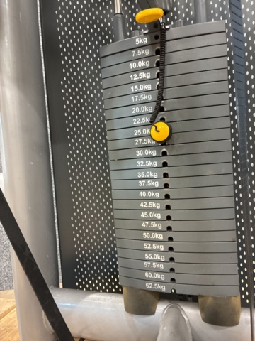 1532424-12 Biceps machine, Elite Fitness