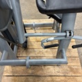 1532424-24 Biceps machine, Elite Fitness