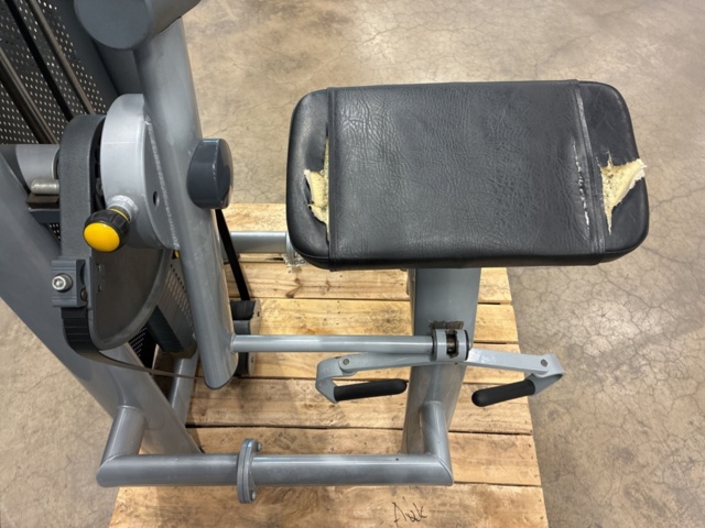 1532424-25 Biceps machine, Elite Fitness