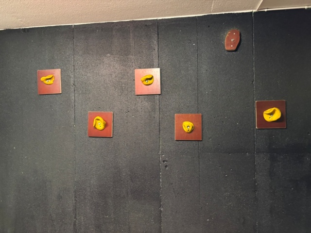 1499774-1 Climbing wall panels
