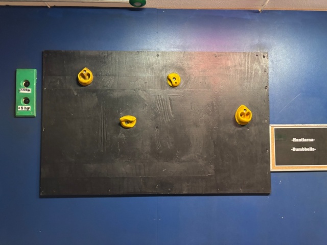 1499774-6 Climbing wall panels