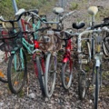 1405820-10 Used bicycles – approx. 24 pcs.