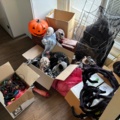 1475253-1 Halloween decorations and props - Mixed lot