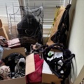 1475253-4 Halloween decorations and props - Mixed lot