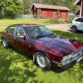 1471445-11 Jaguar Daimler -1989