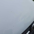1485259-11 Volkswagen Caddy Van 2.0 TDI BMT DSG Sequential, 102hp -2017